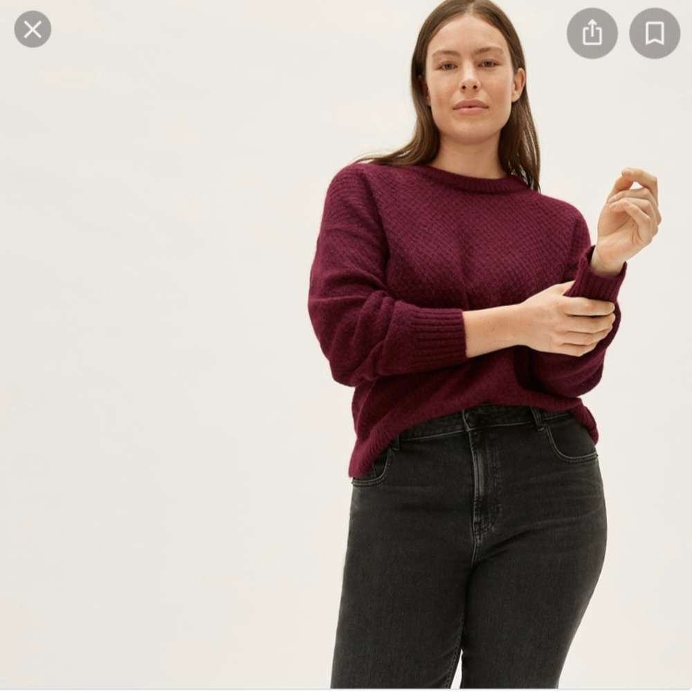 Everlane Oversized Alpaca Crew size Small
